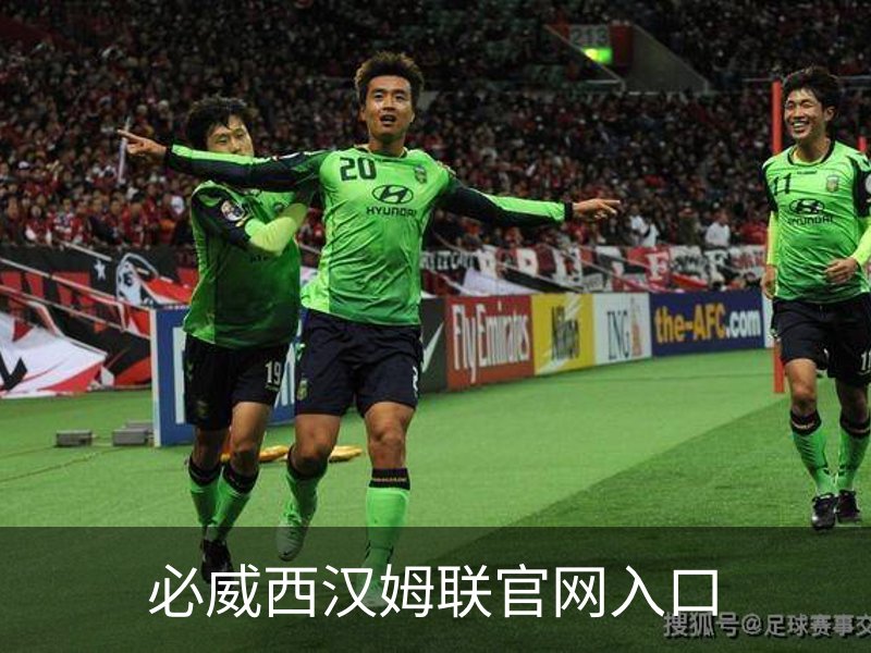 中国·必威(bw·西汉姆联)中文官方网站